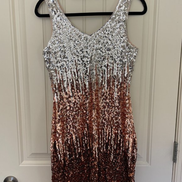 Silver and Brown Sequin Sleeveless Dress, NWT, Size Medium - Picture 5 of 5